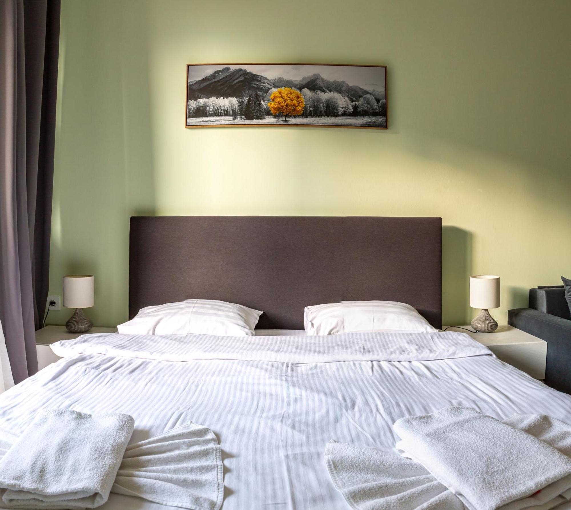 New Gudauri Family Loft Apartments 部屋 写真